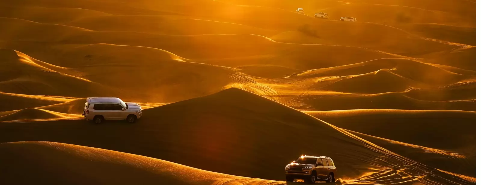 Dubai Red Dunes Desert Safari, Dune Bashing, Shows And  BBQ Dinner