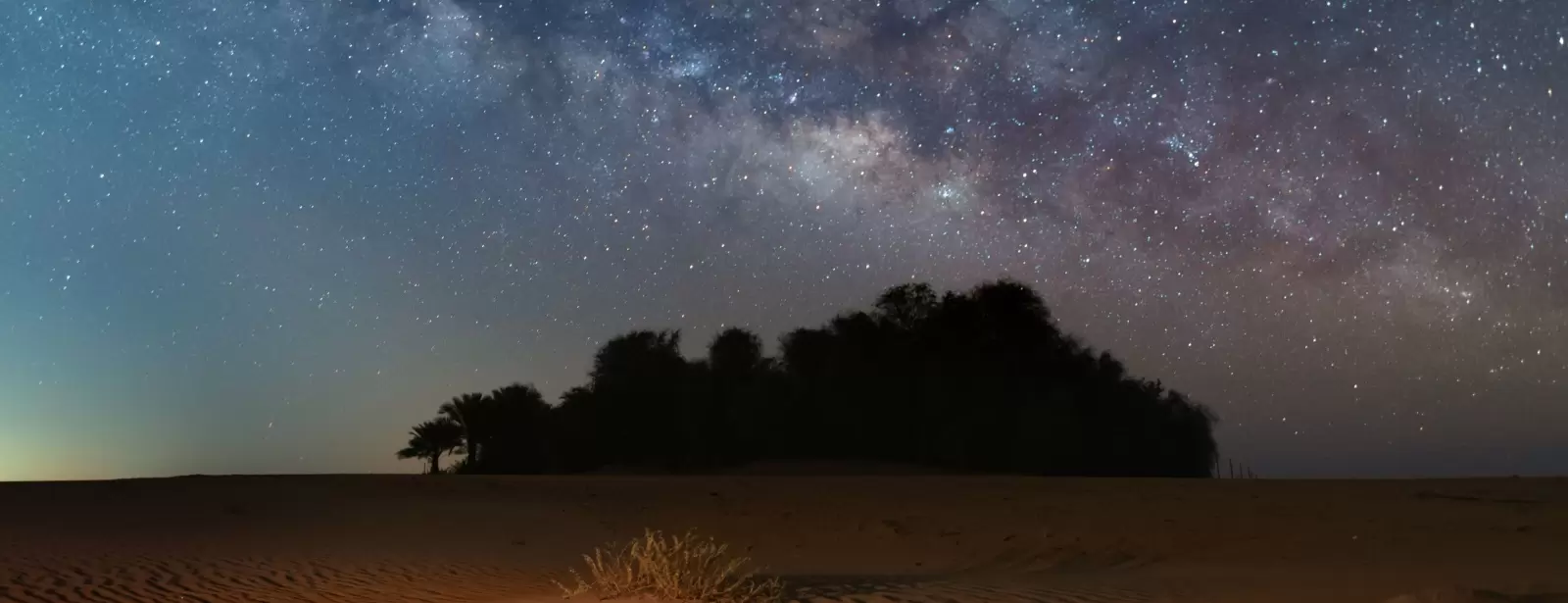 Dubai Red Dunes Desert Safari, Dune Bashing, Shows And  BBQ Dinner