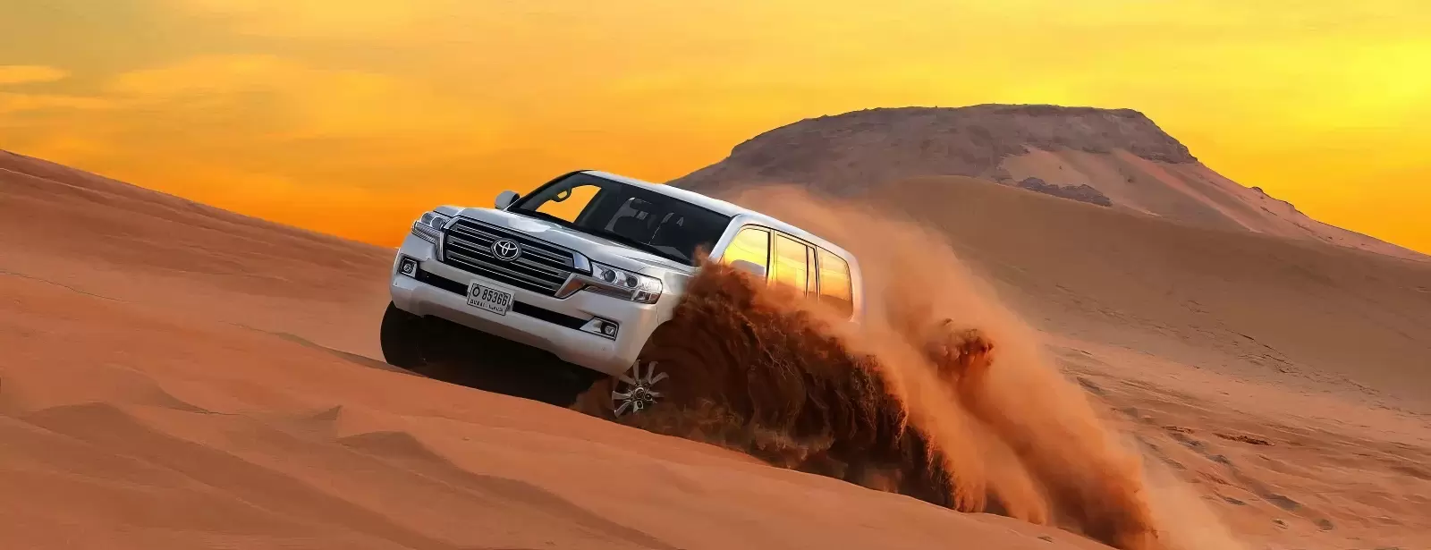 Dubai Red Dunes Desert Safari, Dune Bashing, Shows And  BBQ Dinner