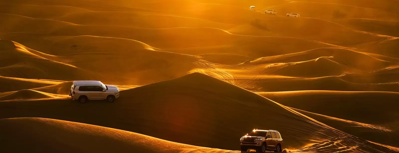 Dubai Red Dunes Desert Safari, Dune Bashing, Shows And  BBQ Dinner