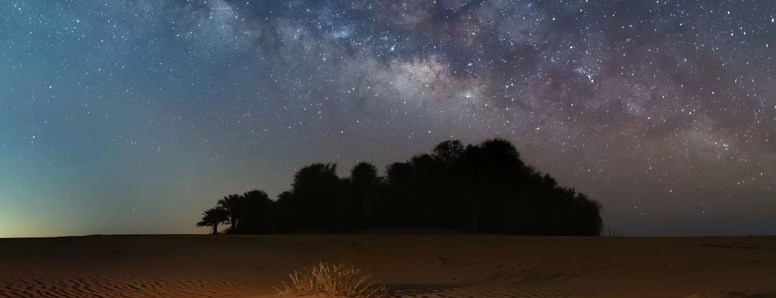 Dubai Red Dunes Desert Safari, Dune Bashing, Shows And  BBQ Dinner