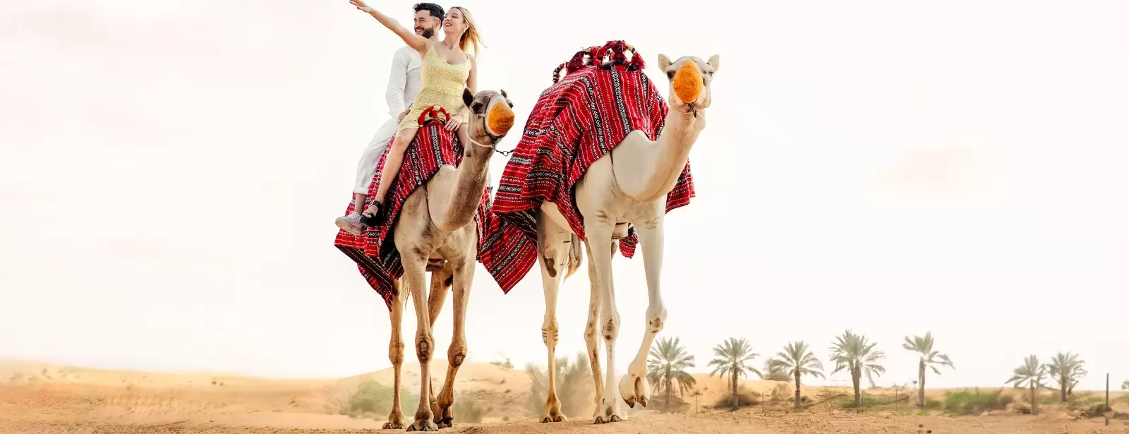 Premium Adventure Balloon Flight with camel ride and Breakfast