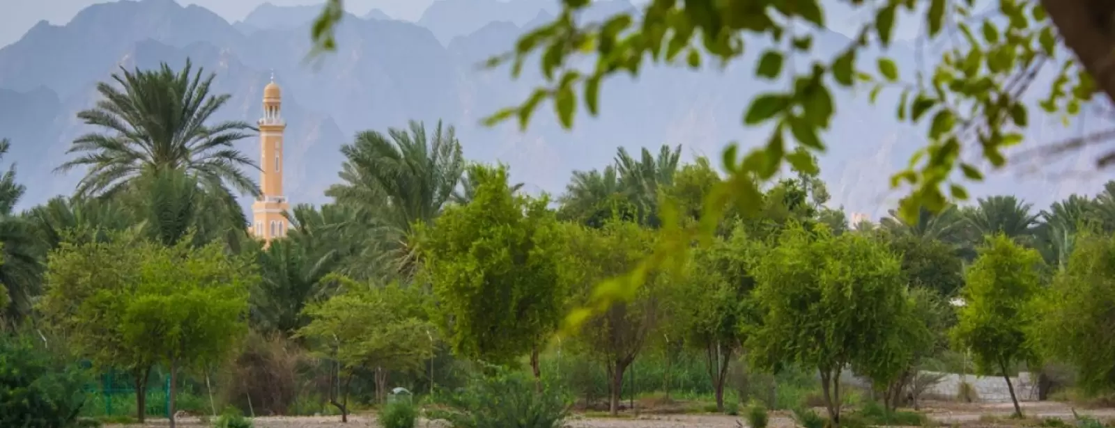 Hatta Biking Adventure