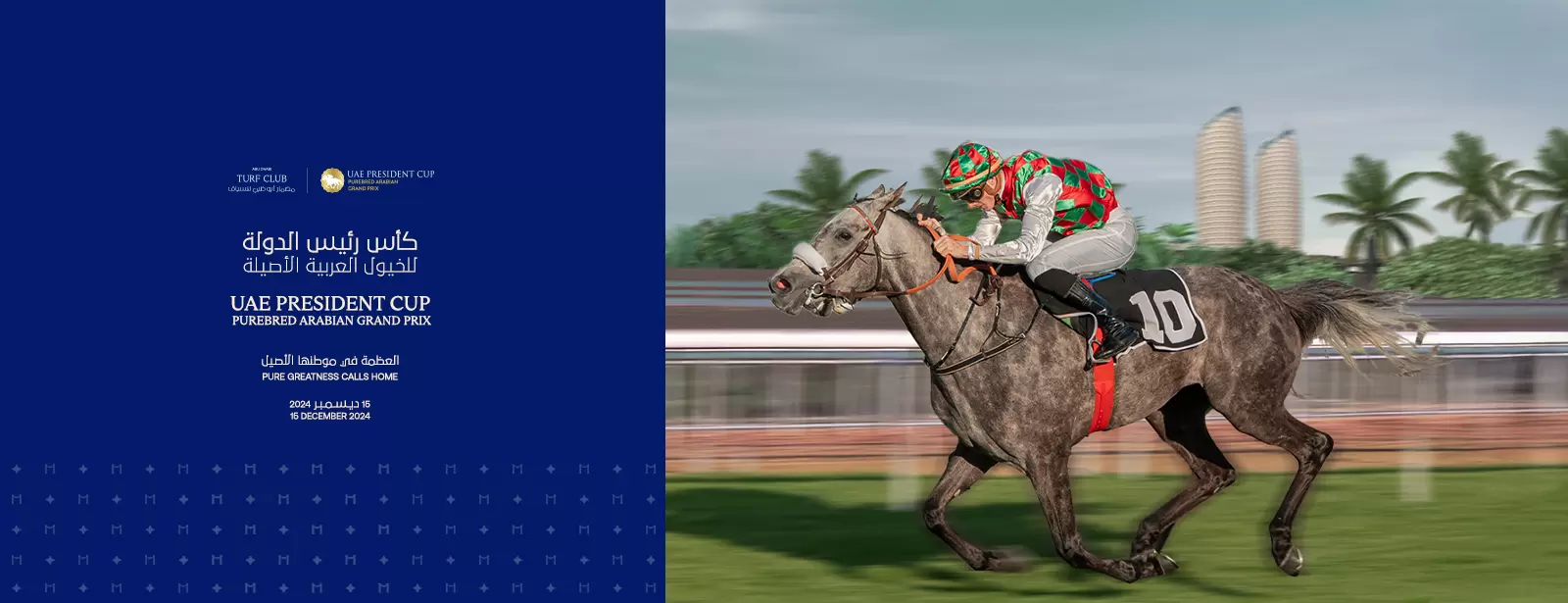 UAE President Cup, Purebred Arabian Grand Prix - General Admission: Your Ticket to Endless Fun