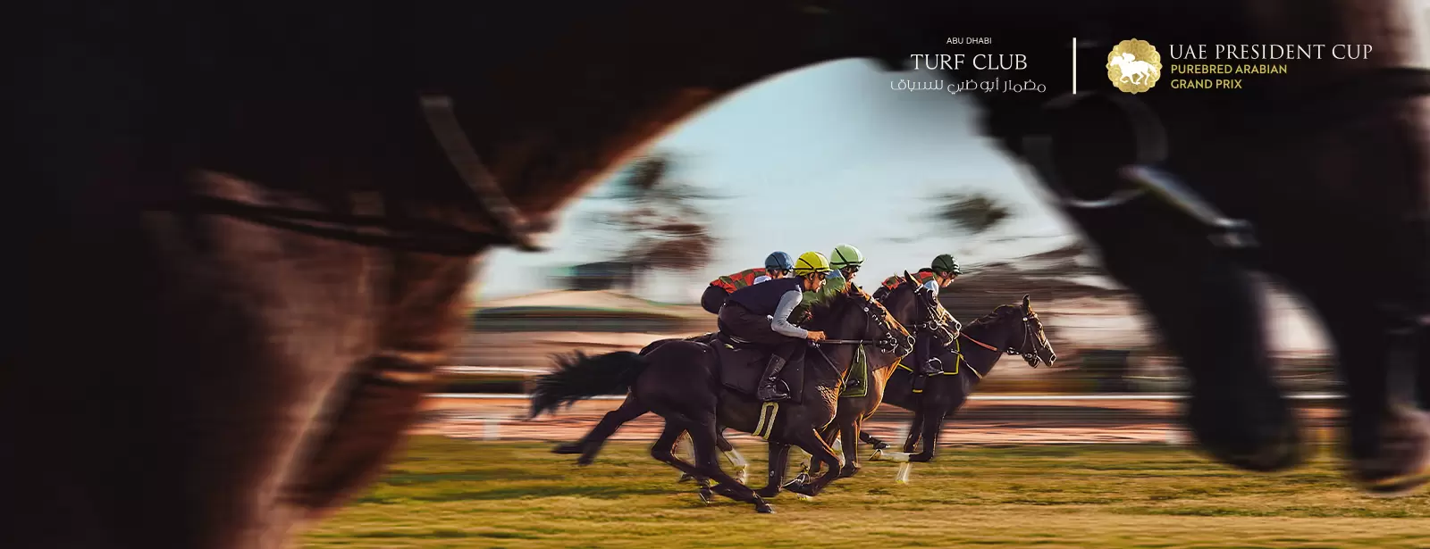 UAE President Cup, Purebred Arabian Grand Prix - The Garden: A Hub of Fun and Flavor
