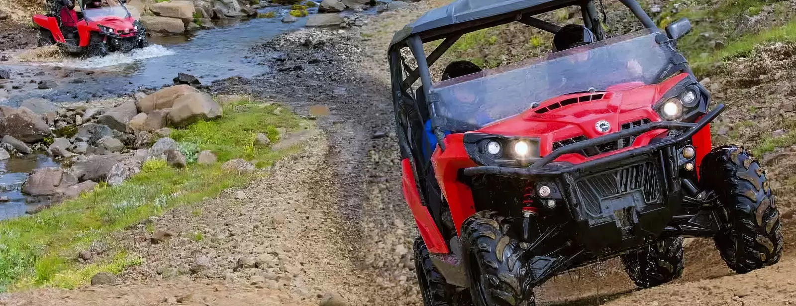 Buggy Safari