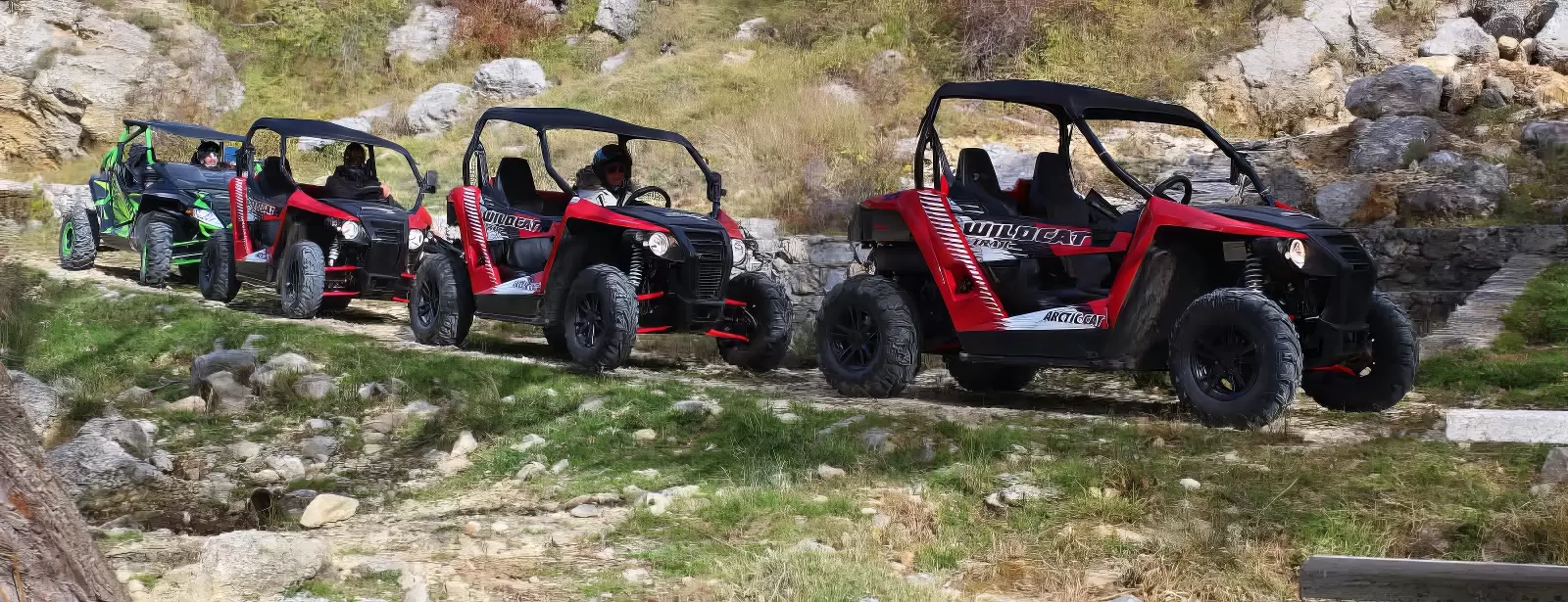 Buggy Safari