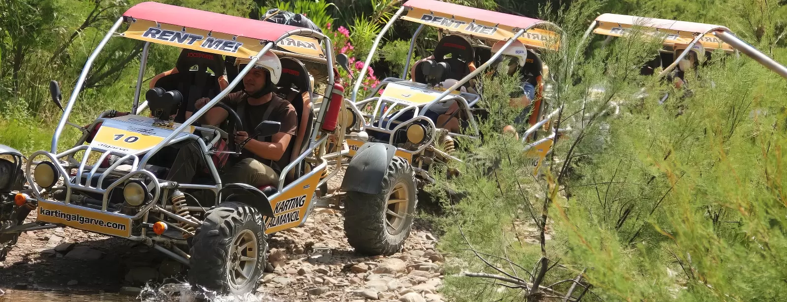 Buggy Safari