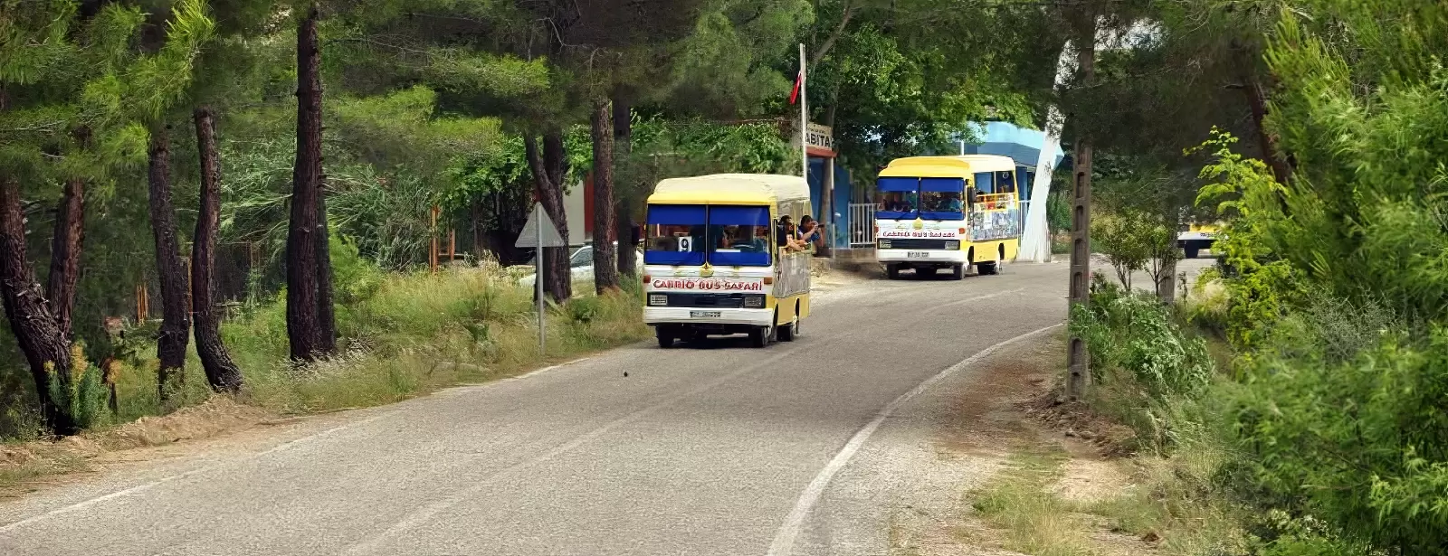 Cabrio Bus Safari