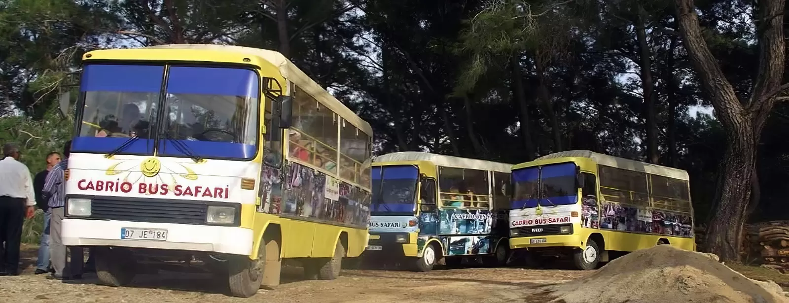 Cabrio Bus Safari