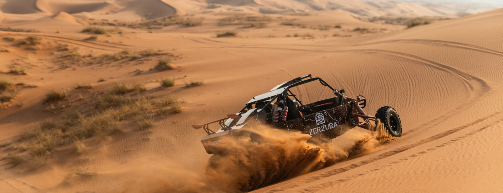 Private Dinner in the desert with optional Buggy Experience