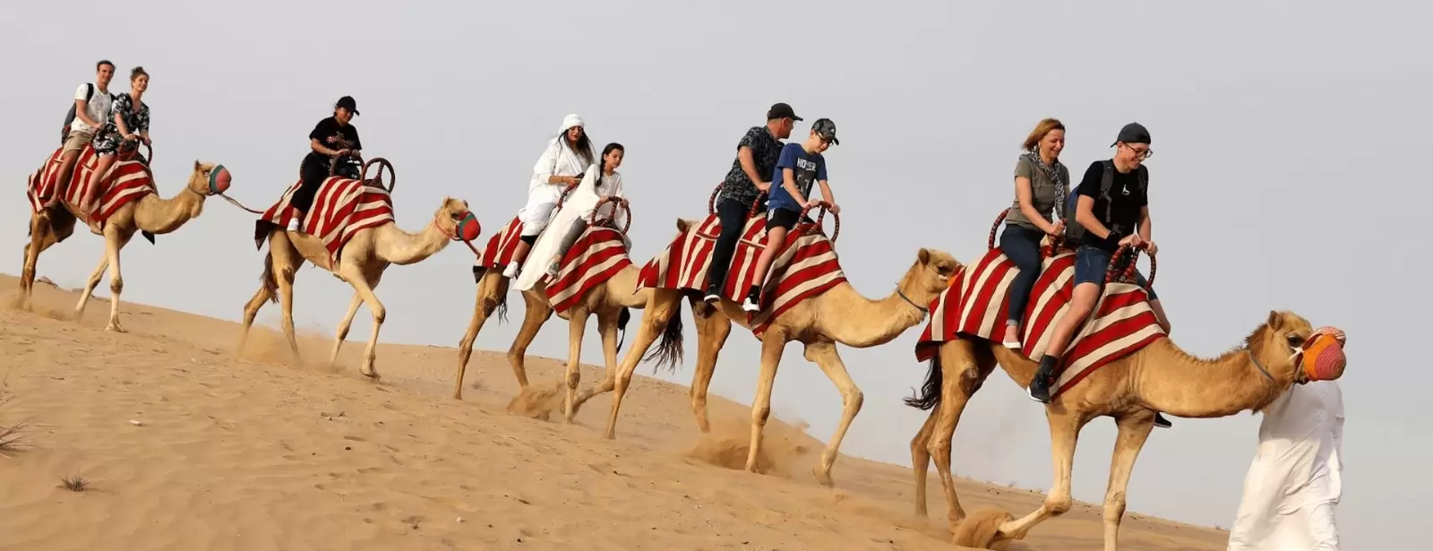 Horse Riding with Open Buffet Dinner & Shows