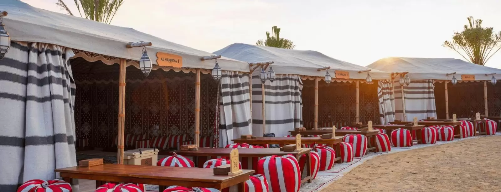 Horse Riding with Open Buffet Dinner & Shows