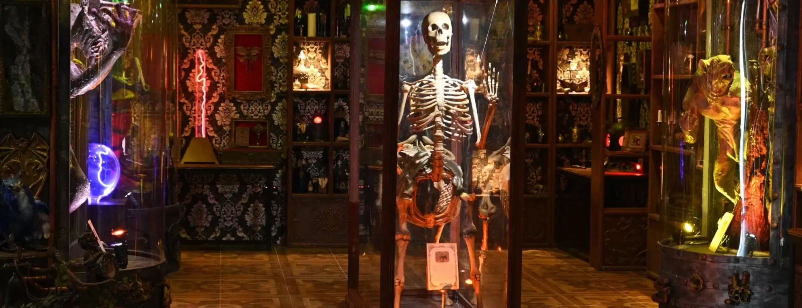 Legendarium Fantastic Museum