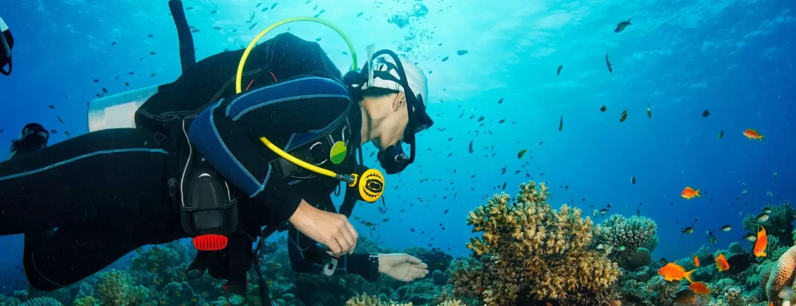 Diving Experience in Khasab
