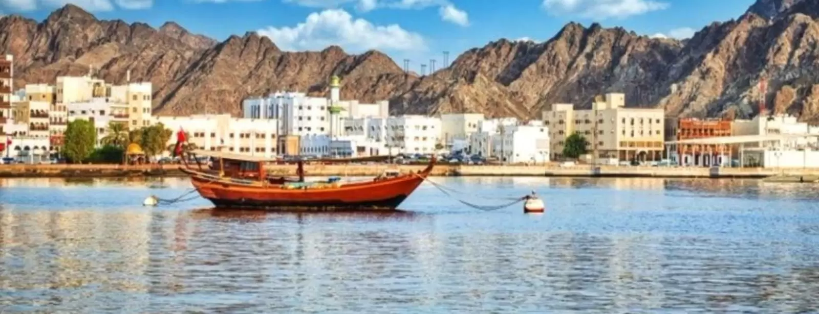 Muscat By Night City Tour (Pick Up Muscat Area)