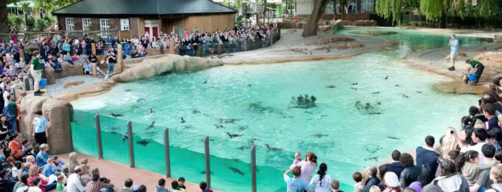 London Zoo: Entry Ticket