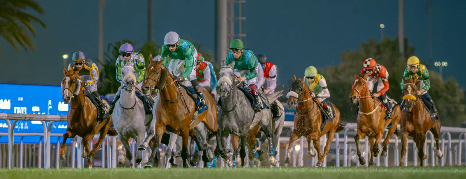 The Garden at Abu Dhabi Turf Club
