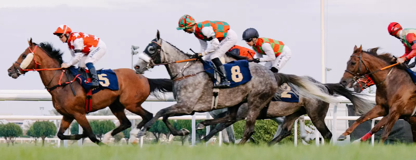 The Garden at Abu Dhabi Turf Club