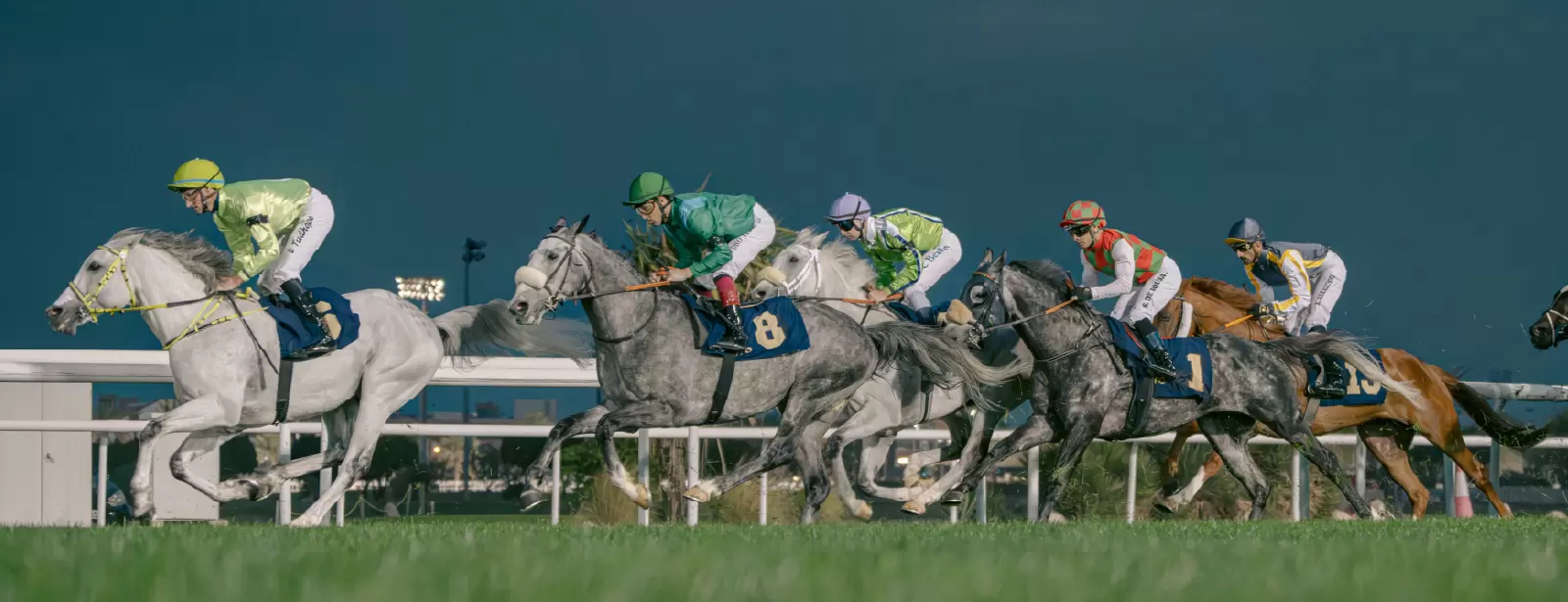The Garden at Abu Dhabi Turf Club