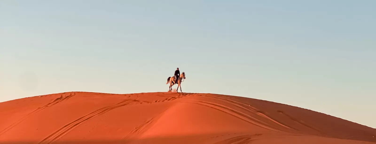 Horse Riding in Riyadh