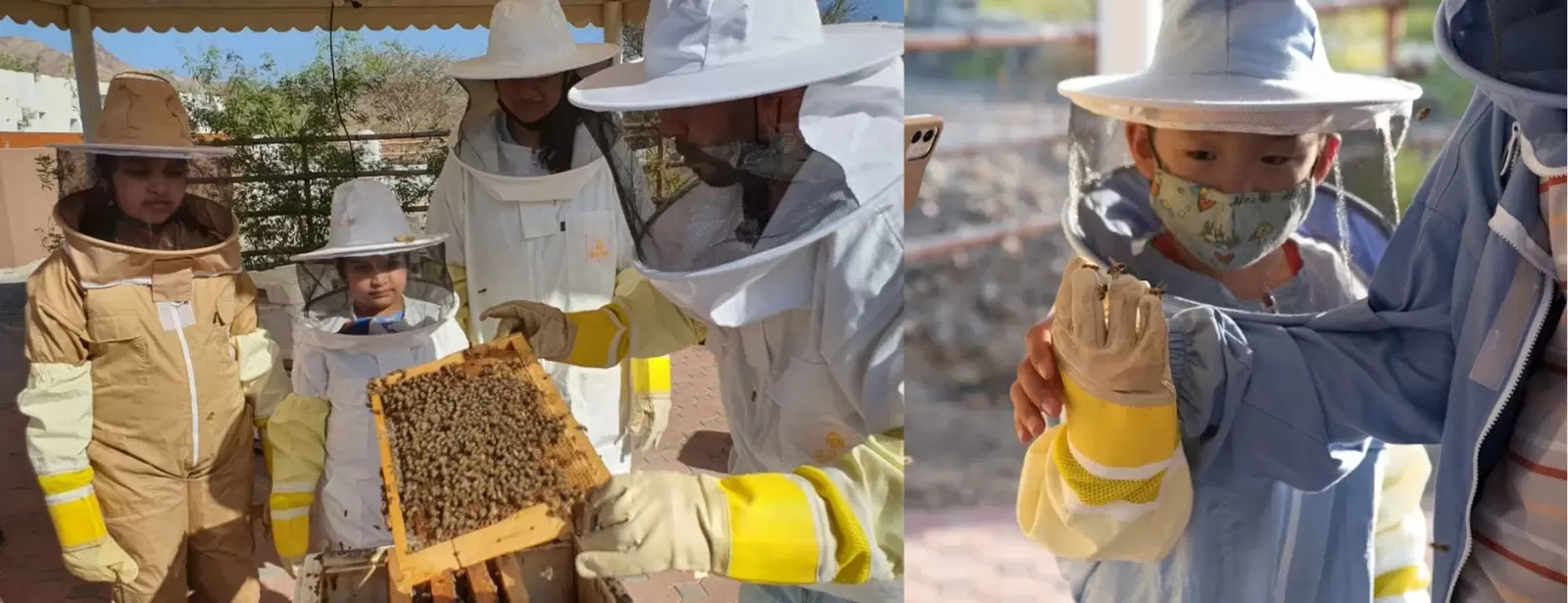 Hatta Honeybee Garden Discovery Tour