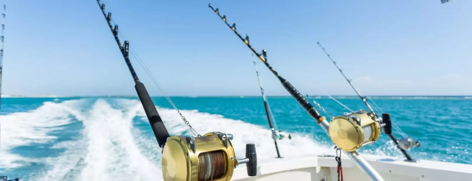 Trolling in Ocean for Big Fish