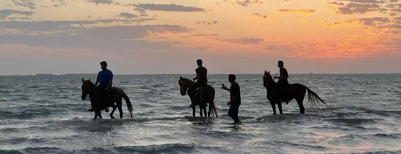Horse Riding in Jeddah