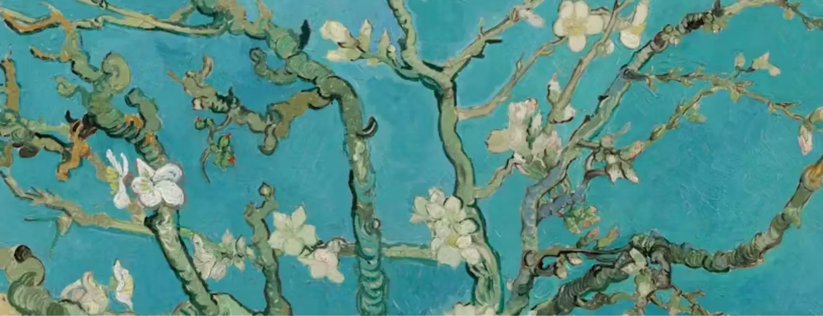Van Gogh Museum entry ticket