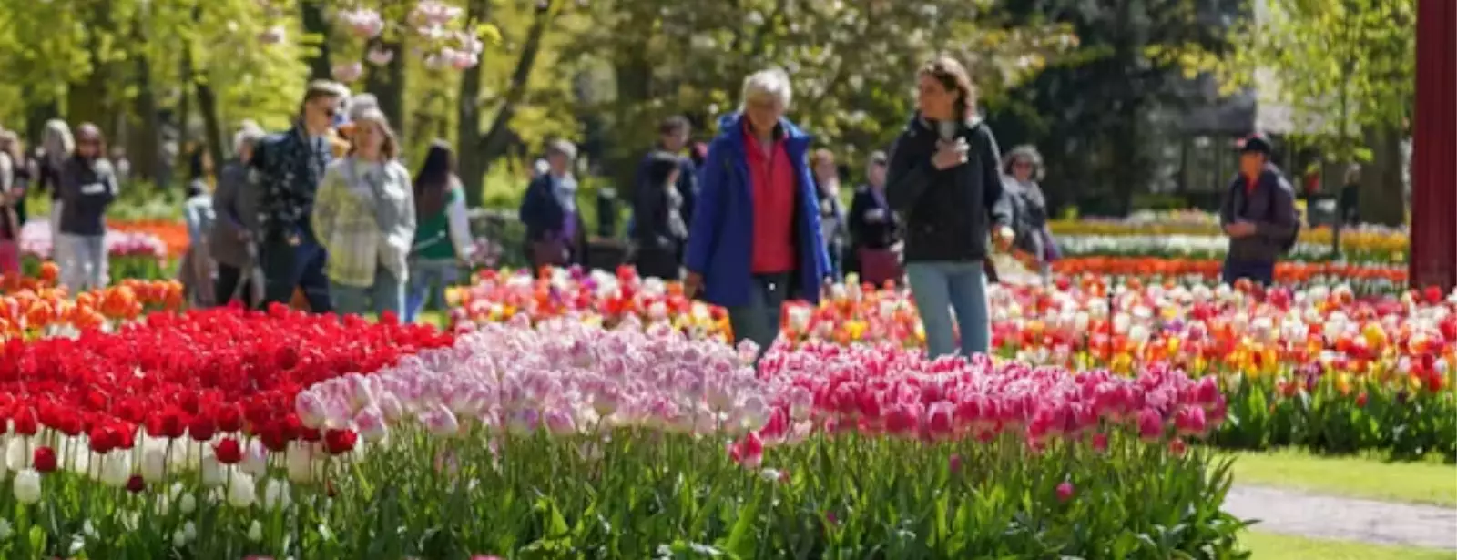 Keukenhof Gardens with transport