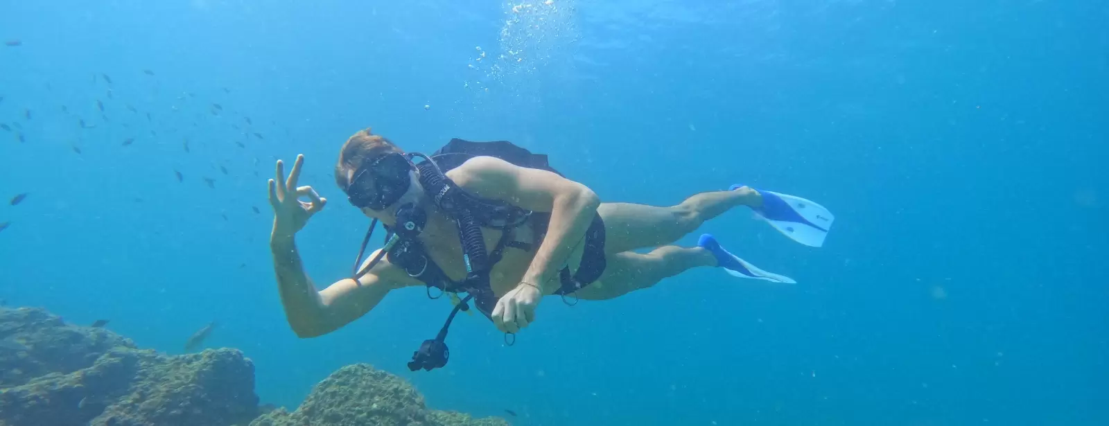 Abu Dhabi PADI Discover Scuba Diving Program