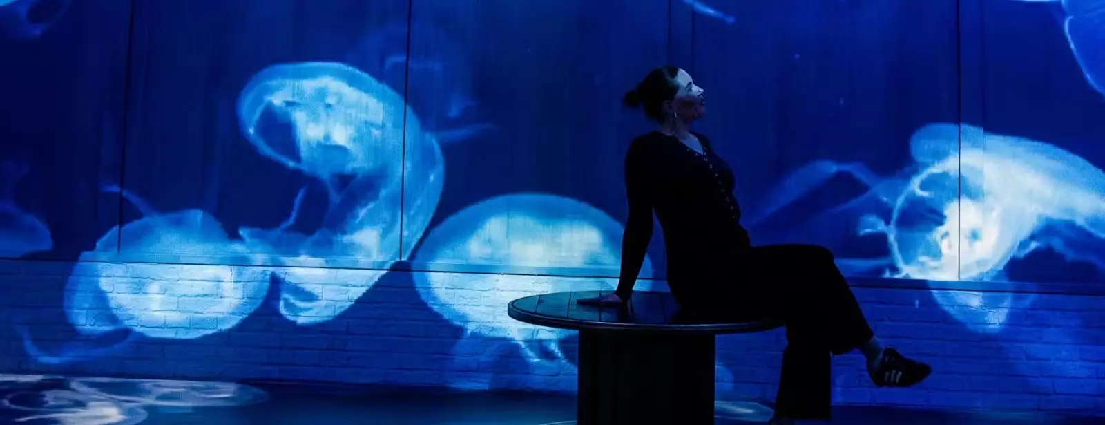Fabrique des Lumières: The Sea