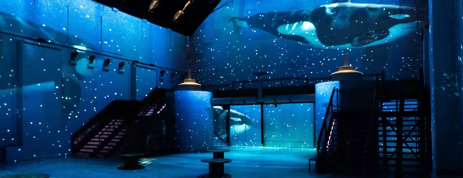 Fabrique des Lumières: The Sea