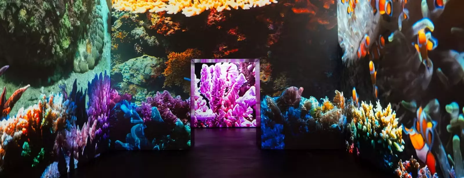 Fabrique des Lumières: The Sea