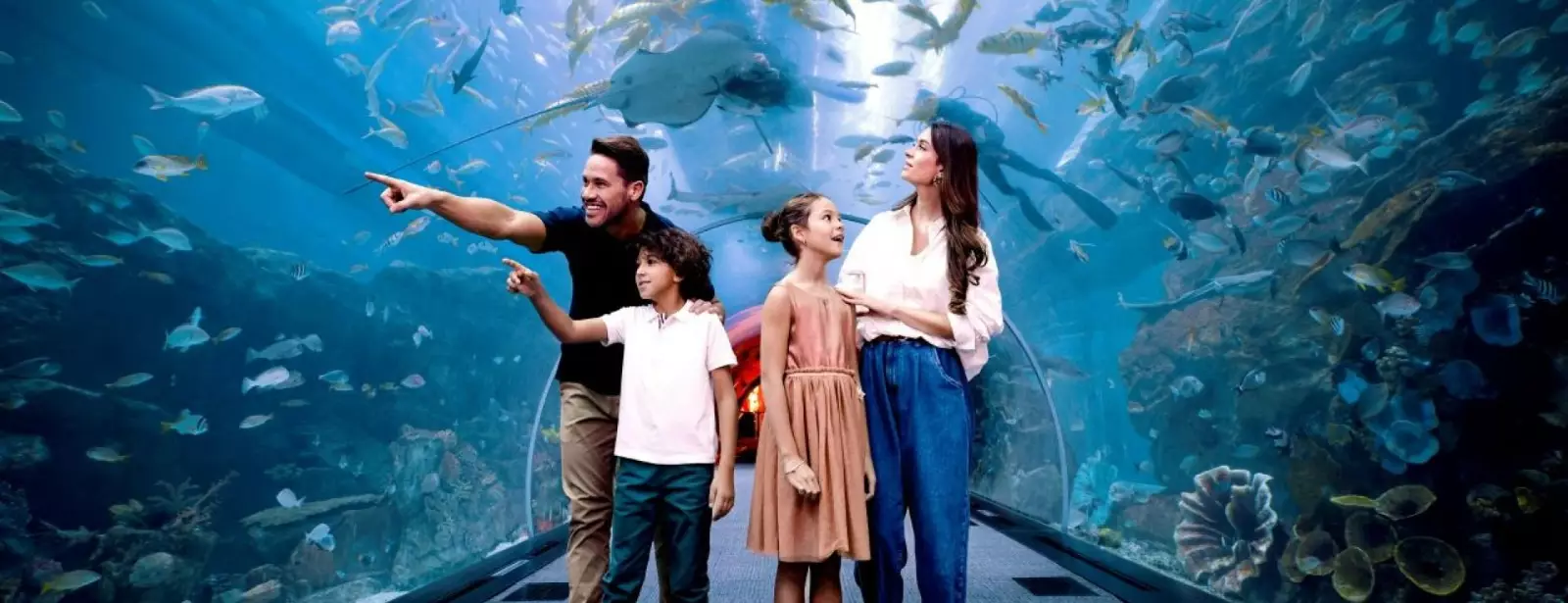 Dubai Aquarium & Underwater Zoo - Ultimate Experience