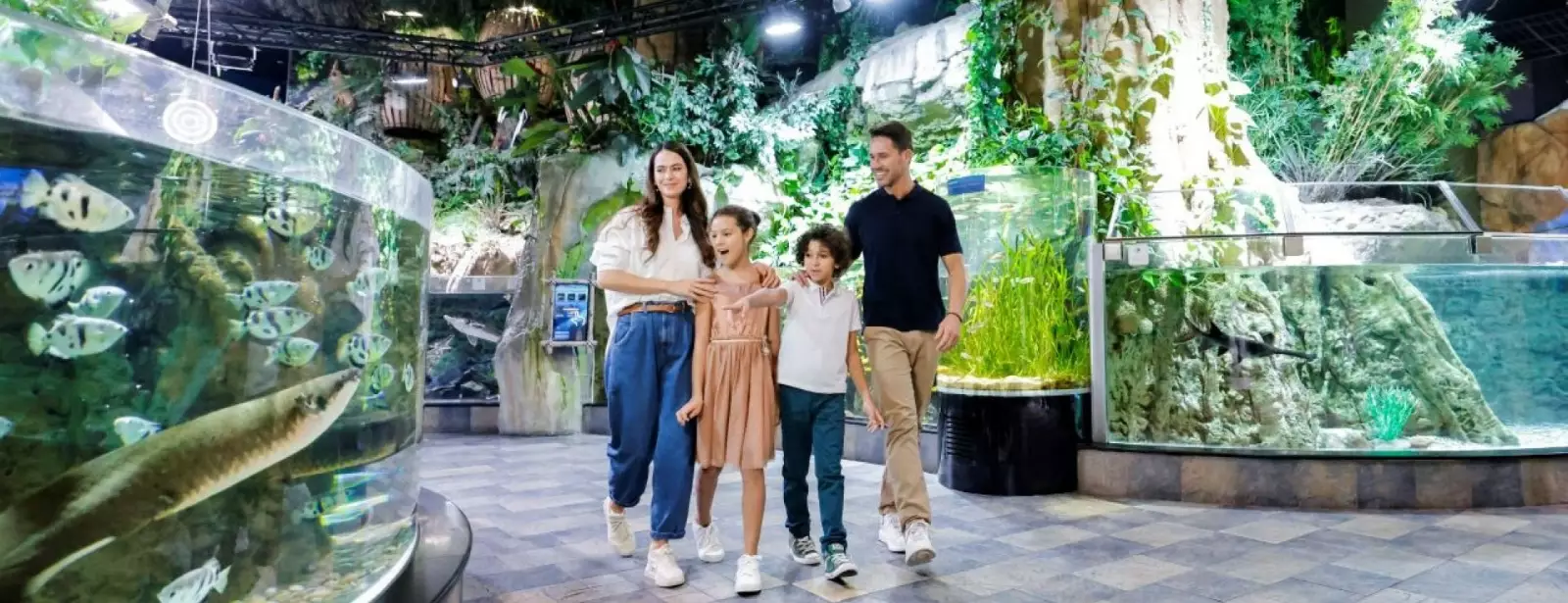 Dubai Aquarium & Underwater Zoo - Ultimate Experience