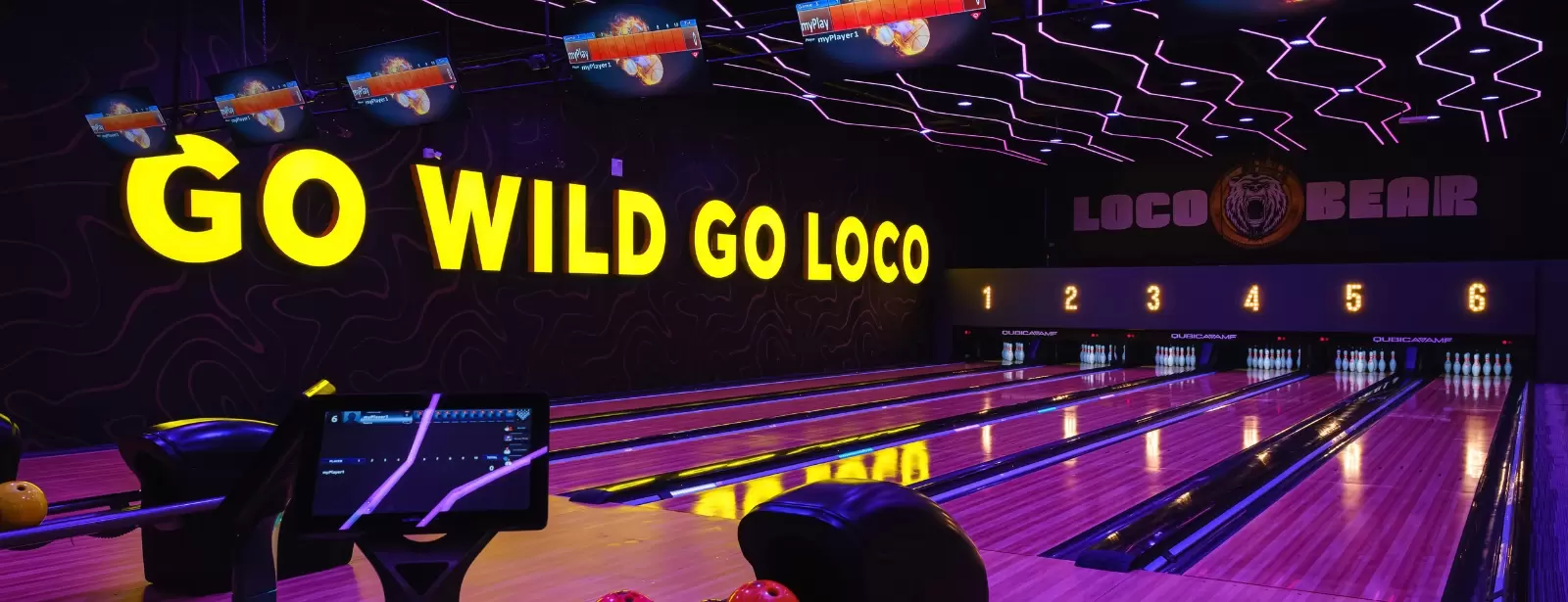 Loco Bear Entertainment Hub