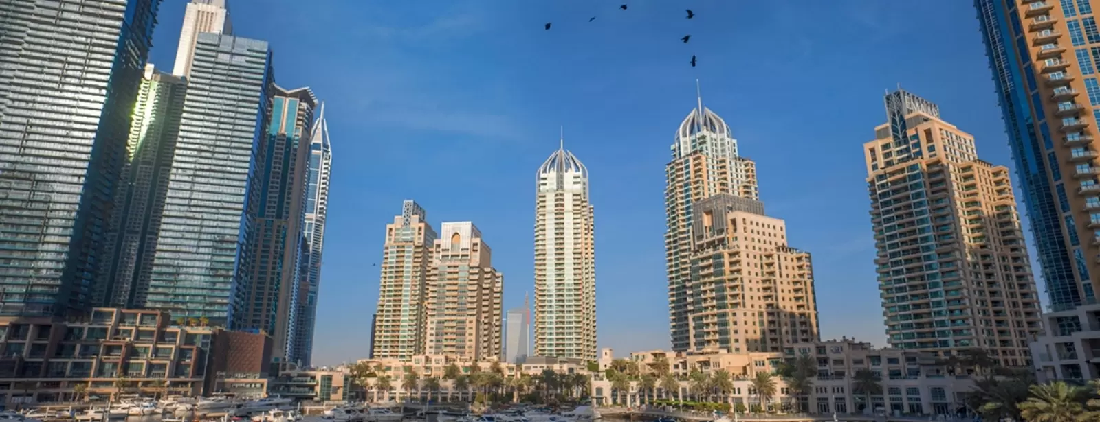 Dubai Full Day Tour