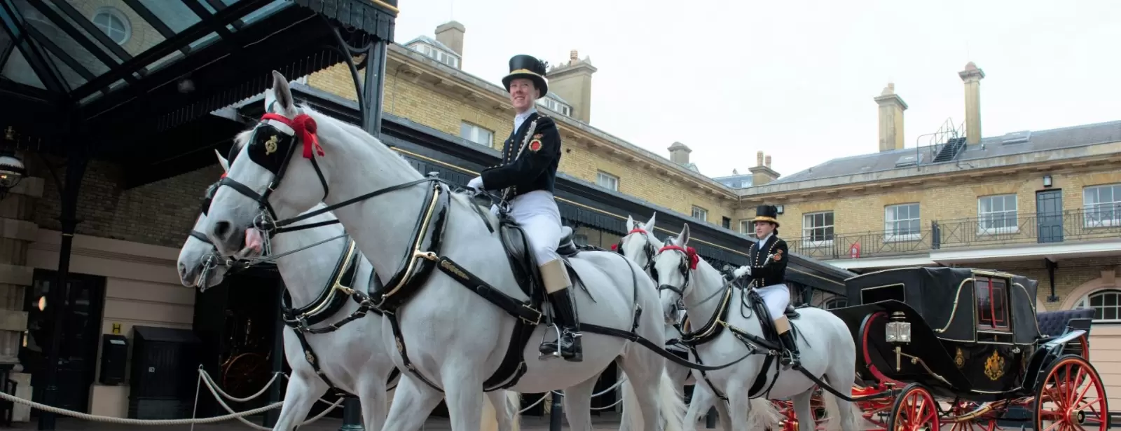 The Royal Mews & Buckingham Palace