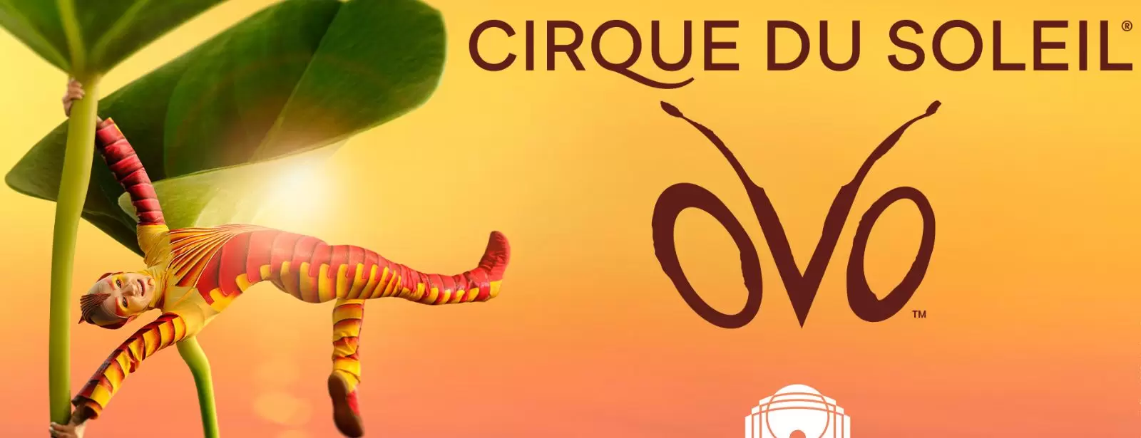 Cirque du Soleil: OVO Tickets