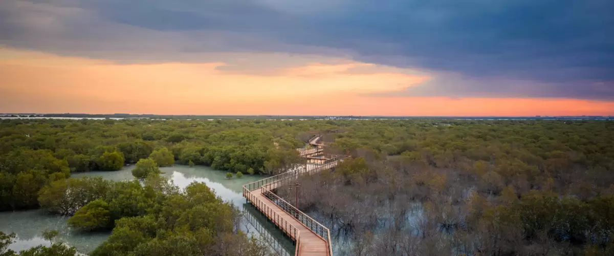 Jubail Mangrove Park