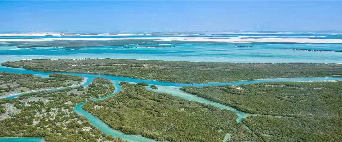 Husaak Adventures Abu Dhabi - Eastern Mangroves