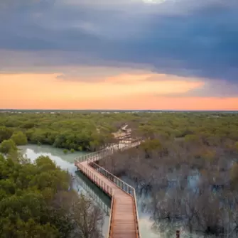 Jubail Mangrove Park