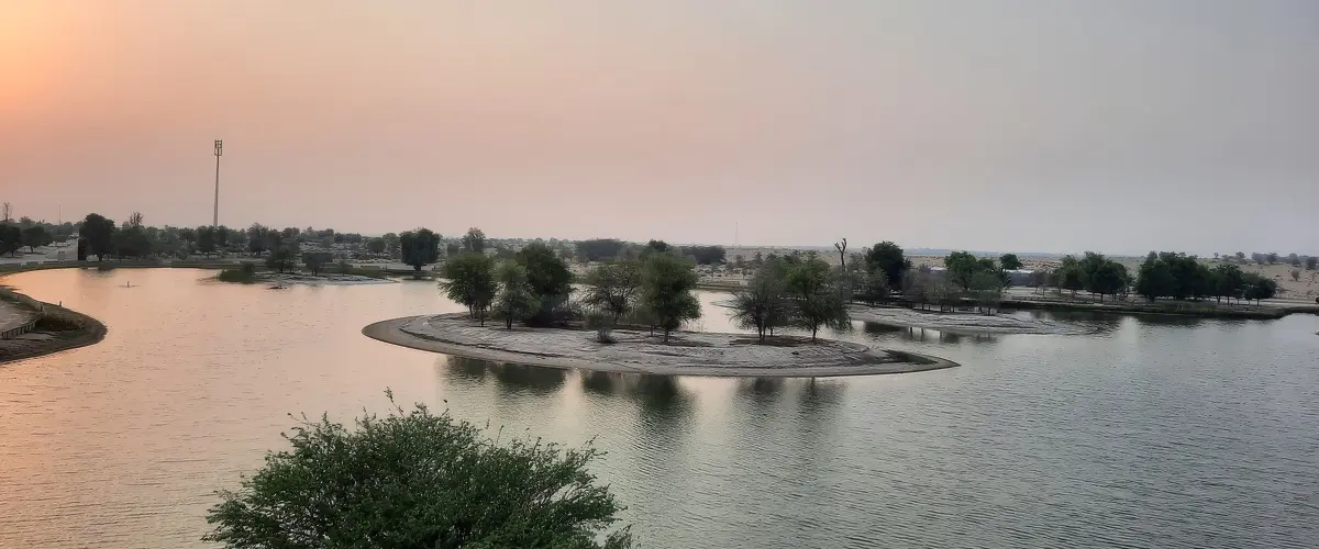 Al Marmoom Desert Conservation Reserve