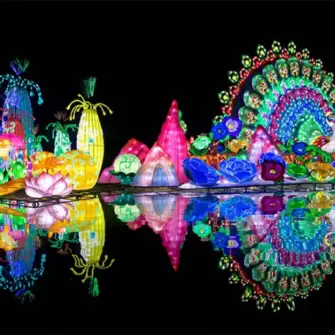 Dubai Garden Glow