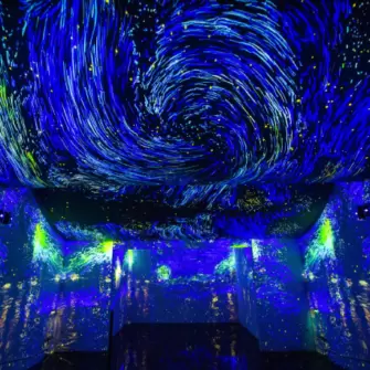 Theatre of Digital Art - Dubai - United Arab Emirates