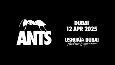 ANTS at Ushuaïa Dubai Harbour Experience