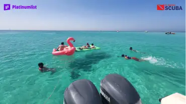 Bayada Daily Trips (Maldives of Jeddah)