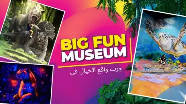 Big Fun Museum