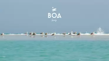 BOA The Beach in Jeddah